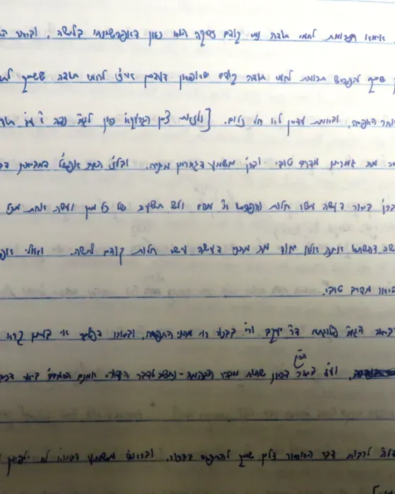 תקריב של שורות בכתב יד על דף שורות